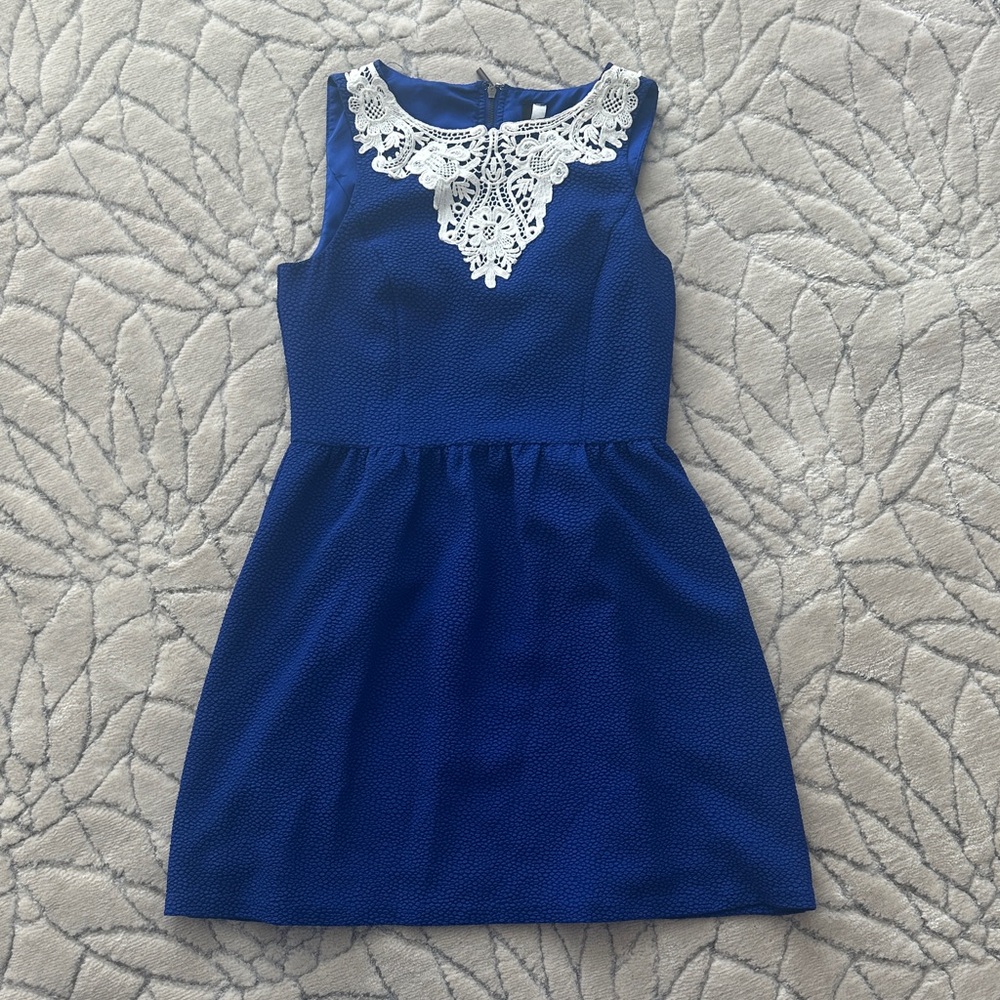 Kensie Royal Blue Dress with White Lace Accent